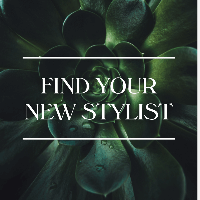 Find your new stylist